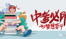 向阳小学爆料视频最新消息